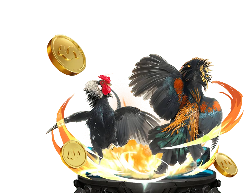 Quản lý tài khoản VIP